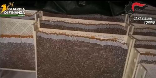 Sequestrate 250 tonnellate tabacchi di contrabbando a Torino