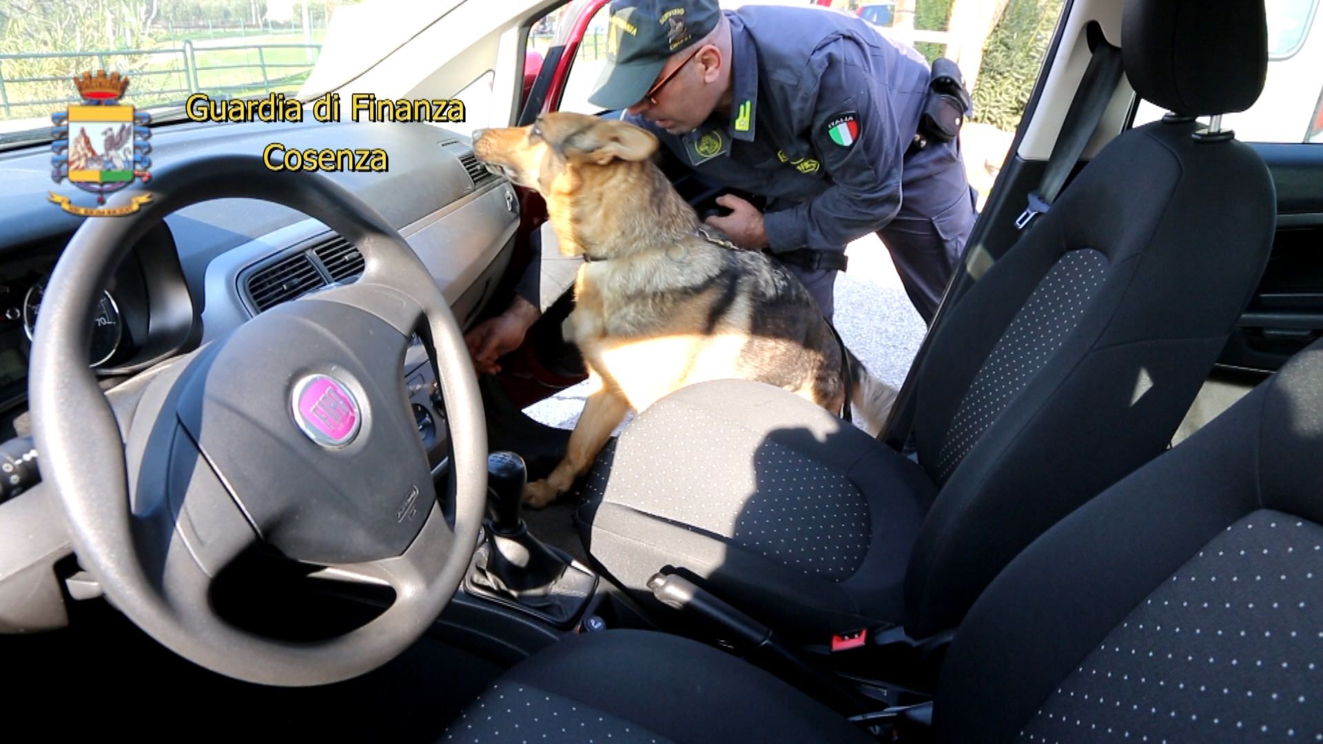 In auto con cinque chili di hashish