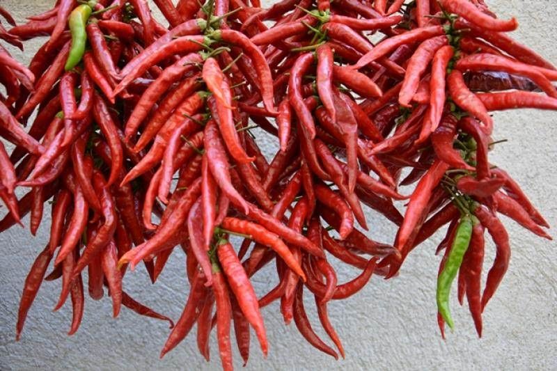 I mangiatori di peperoncino in gara a Diamante