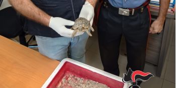 Marijuana nello scaldabagno e soldi nelle scarpe, giovane arrestato a Melito Porto Salvo