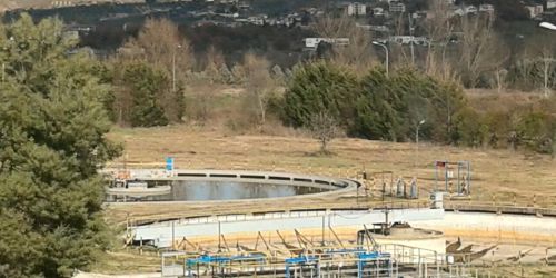 Depuratore Coda di Volpe