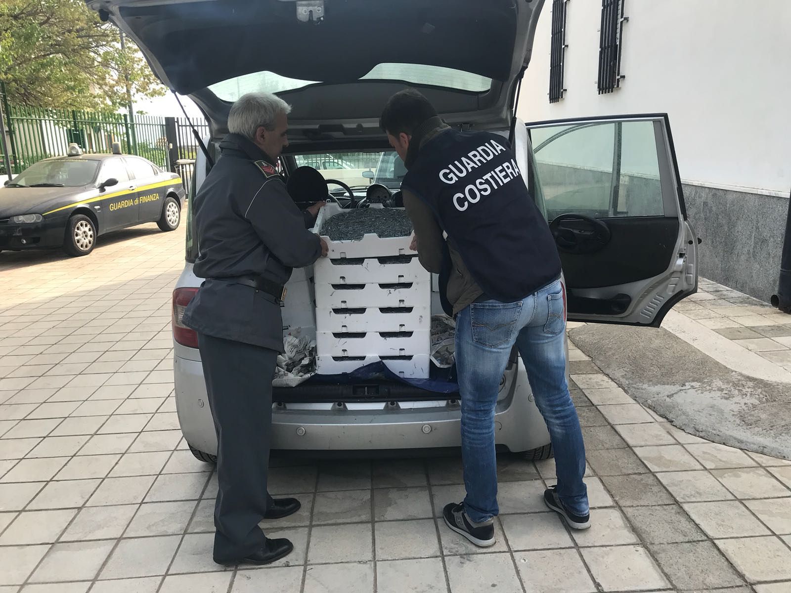 Sequestrati 3,5 quintali di “bianchetto” nel Cosentino