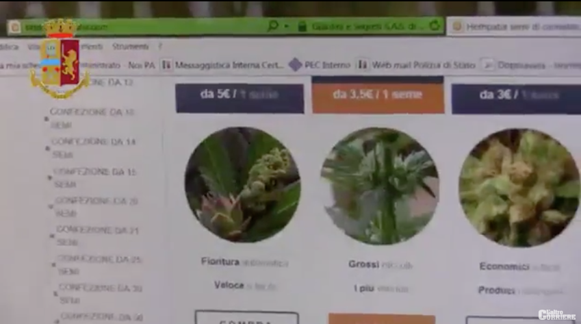 I numeri della filiera verde dei clan: 26mila piante per 20 milioni