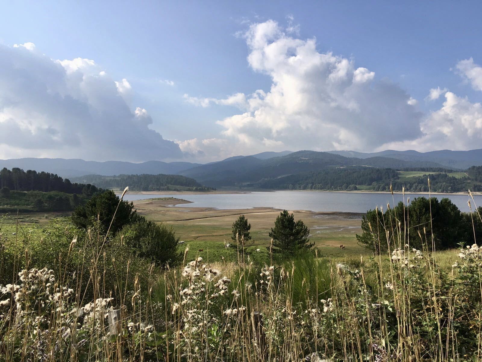 L’enogastronomia e il collegamento turistico mare-monti: l’impegno del Parco della Sila