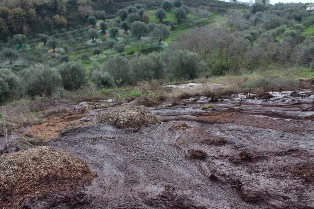Smaltimento illecito di rifiuti, sequestrati due ettari di terreno nel Vibonese