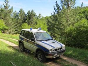 Sei rapaci salvati in Sila