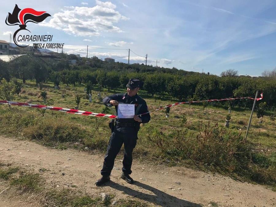 Corigliano Rossano, terreni dello Stato occupati abusivamente: tre indagati