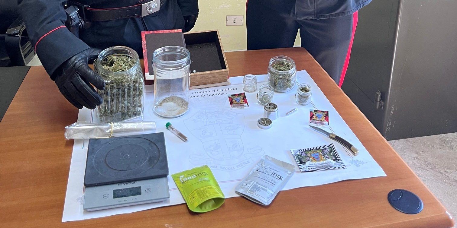 Marijuana nascosta in auto e coltivata in casa, uomo denunciato a Squillace