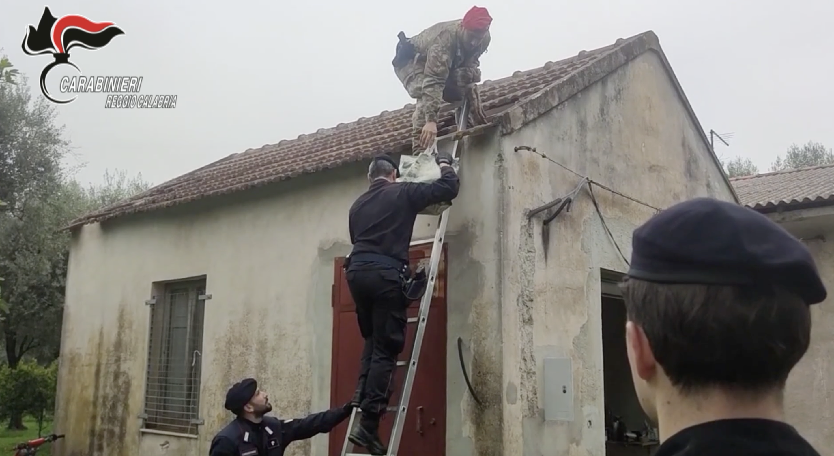 Raffineria di cocaina in un casolare nel Reggino: sequestrati oltre 100 chili di droga purissima – VIDEO