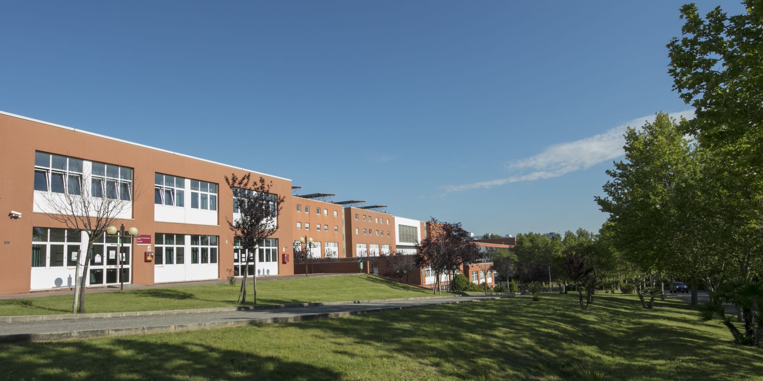 Per il nuovo ospedale disponibili oltre 30 ettari tra Rende e Montalto: ecco dove