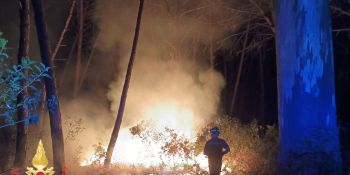 Vasto incendio ad Acconia di Curinga, distrutti dalle fiamme ettari di pineta – FOTO