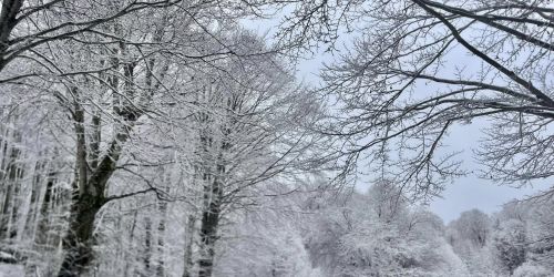 neve pioggia calabria bassa quota