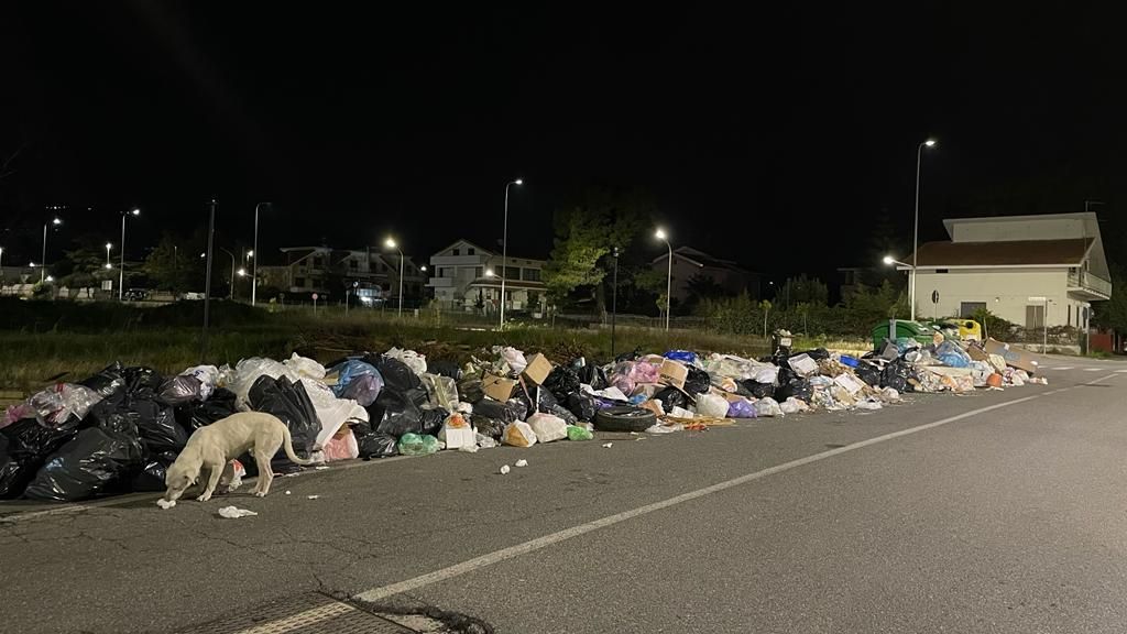 Appello dell’Ato Cosenza a Occhiuto: «Situazione insostenibile, è il momento di intervenire»