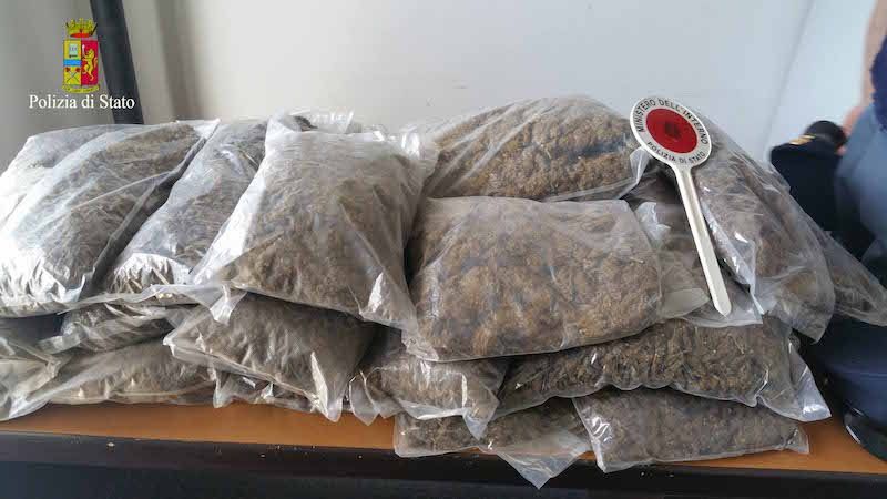 Bianco, 35 kg di marijuana in un camping abbandonato