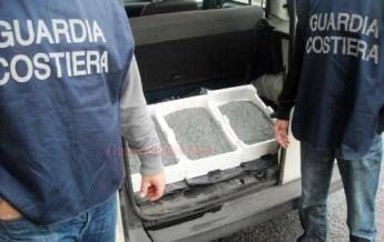 Crotone, sequestrati 270 chili di bianchetto