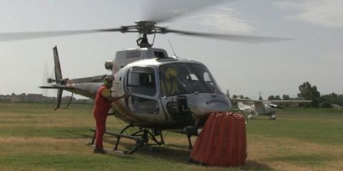 Eliossola calabria verde