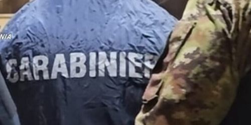 Operazione old horse