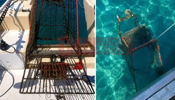 Dal mare spunta un carrello della spesa, la denuncia di Arpacal – VIDEO