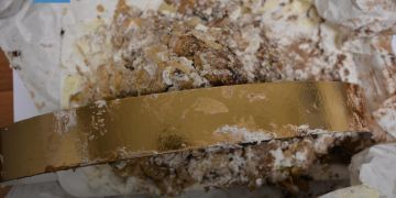 Dolce con sorpresa: arrestato a Pizzo un uomo che trasportava cocaina – VIDEO