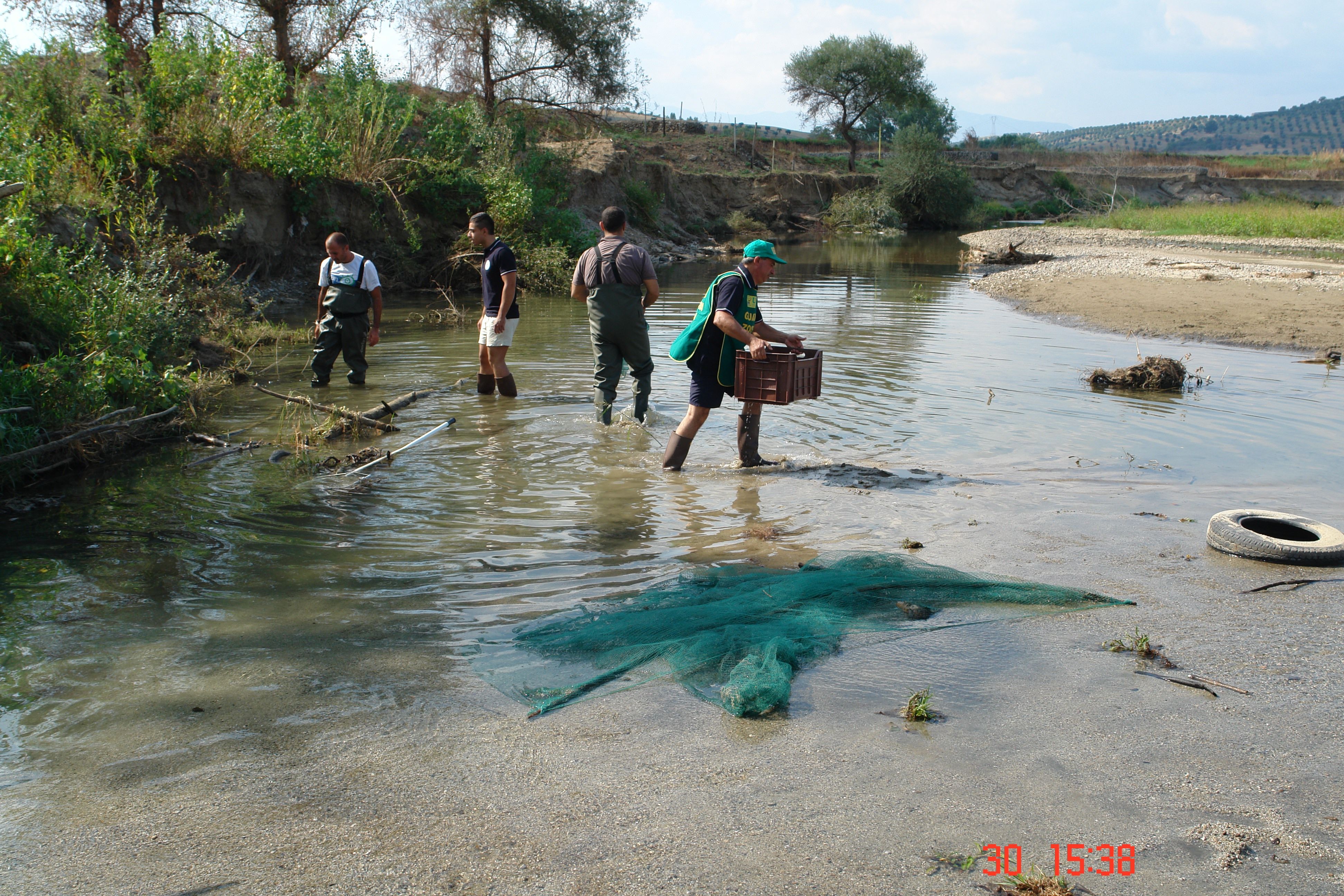 Veleni nel Crati? Il mistero dei pesci morti