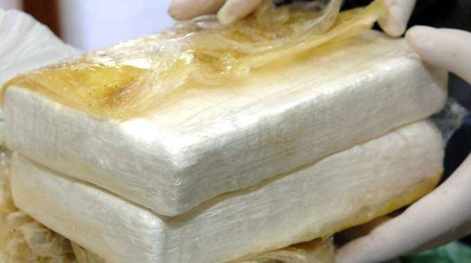 Narcotraffico, gli infiltrati nella rete dei Mancuso: 44 arresti