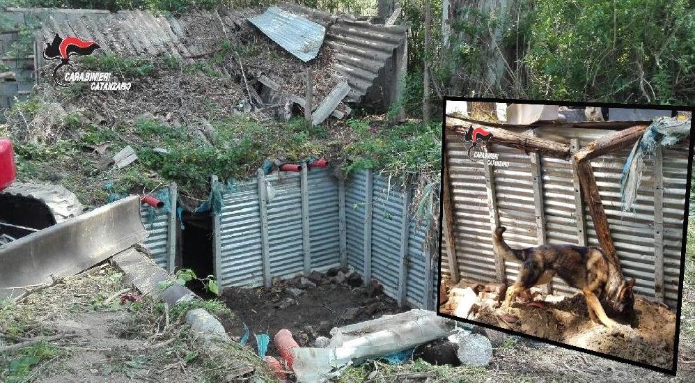 Scoperto a Gizzeria un magazzino della marijuana