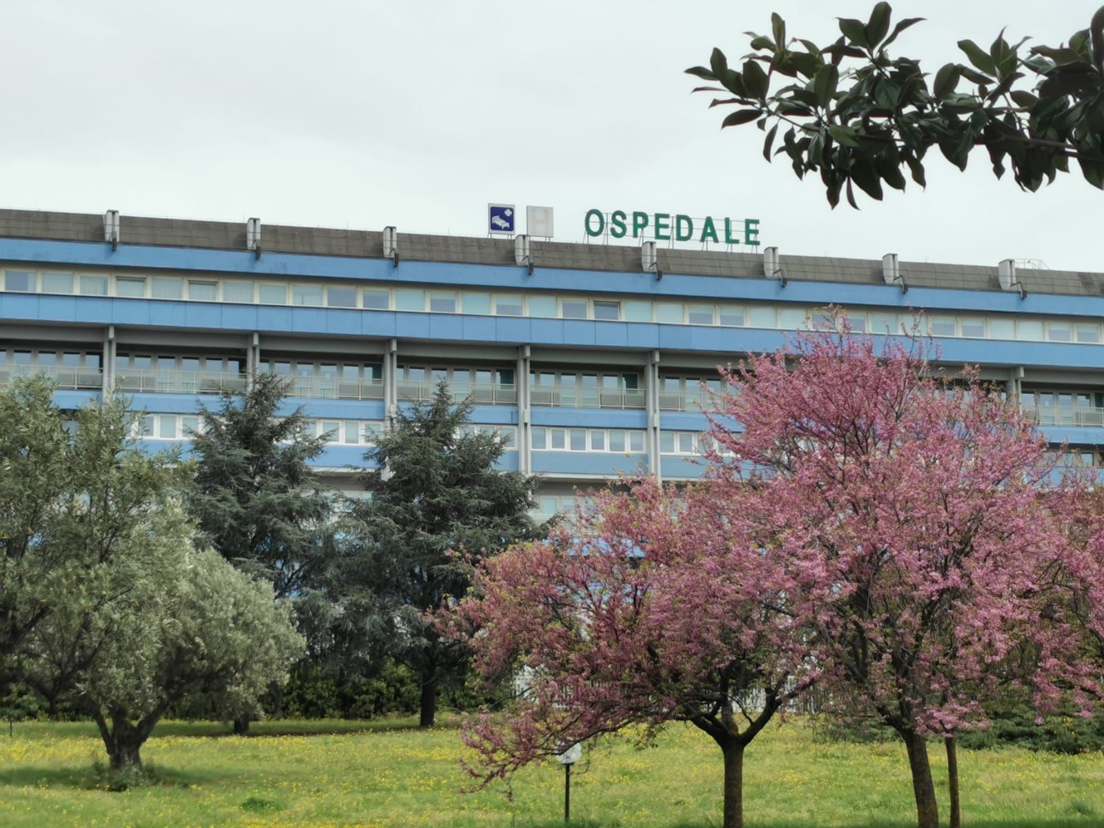 Il grazie di due genitori al reparto di Pediatria dell’Ospedale di Lamezia Terme