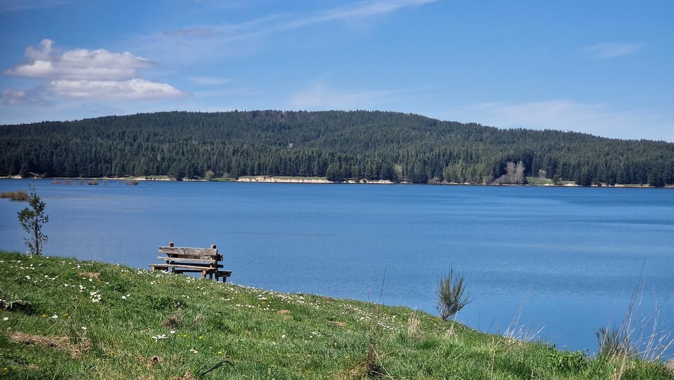 Le vacanze in Sila? Per molti, ma non per tutti