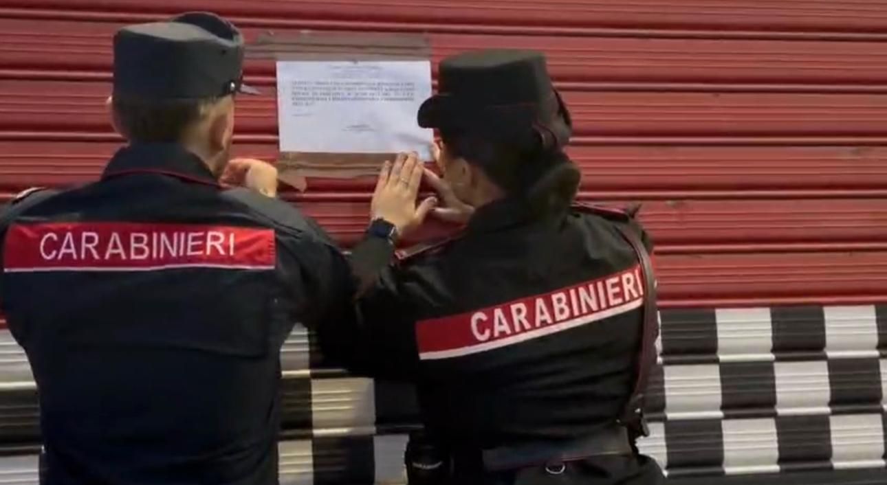 Mille pneumatici, carcasse di auto e un cavallo tra i rifiuti: sequestrata officina nel Catanzarese