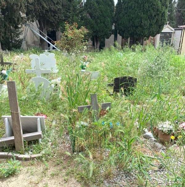 Il cimitero di Crotone invaso dalle erbacce «dopo mesi di incuria»