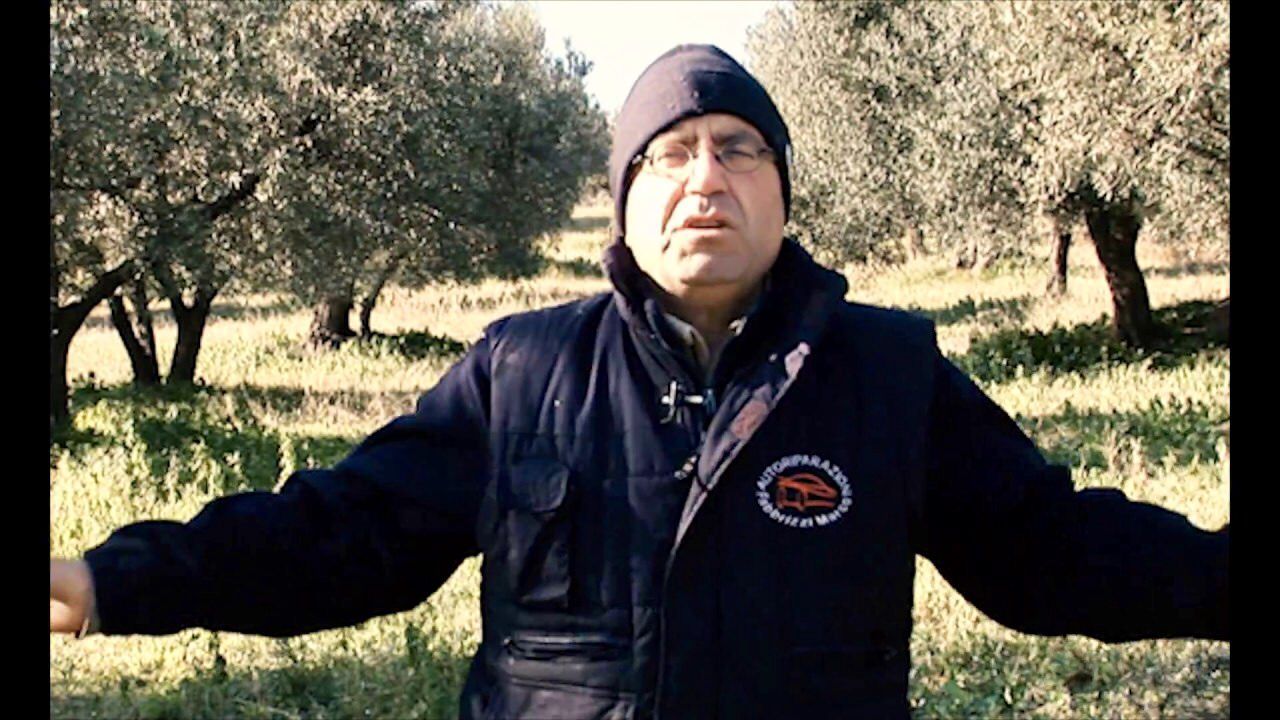 «Un’eccellenza nella produzione dell’olio bio»