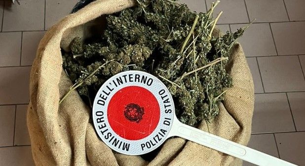 Isola Capo Rizzuto, scoperto nascondiglio di marjuana. Sequestrati oltre 6 kg di droga