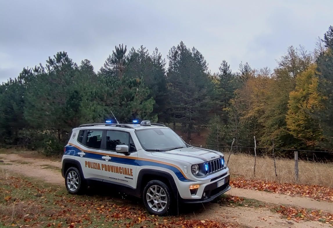 Lavori abusivi in piena Zona di protezione speciale e parco della Sila: una denuncia