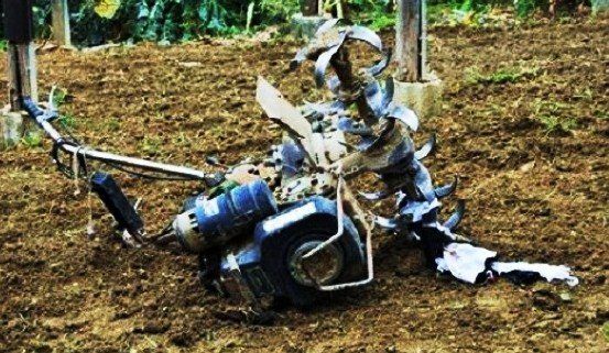 Frascineto, muore 23enne travolto da motozappa