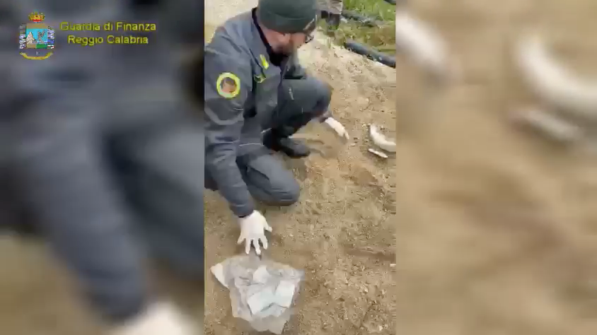 Colpo alla "narco-criminalità" nella Piana di Gioia Tauro, due fratelli in manette – VIDEO