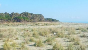 Dune di Giovino, un progetto per restituire valore a uno dei tesori naturali di Catanzaro
