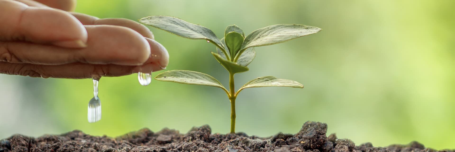 Sostenibilità, Confagricoltura e Assoverde creano Képos