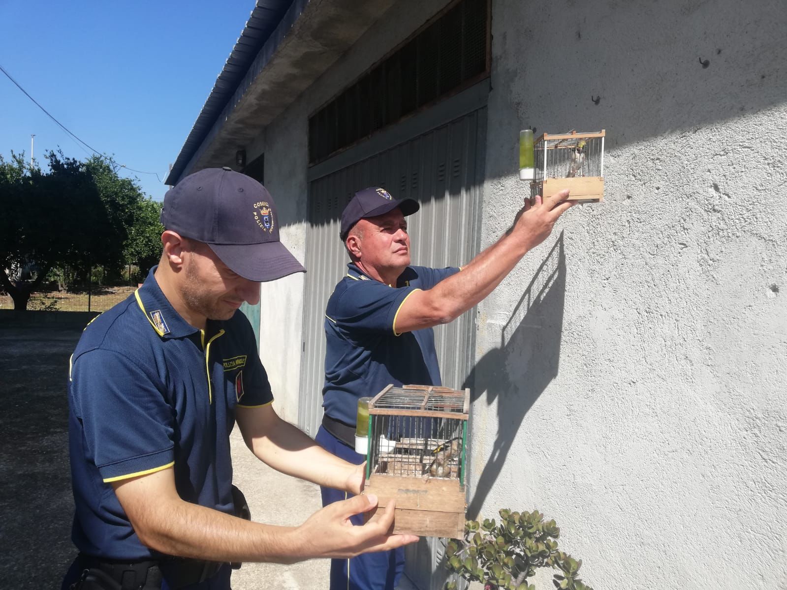 Operazione anti bracconaggio nella Sibaritide: sequestri e una denuncia