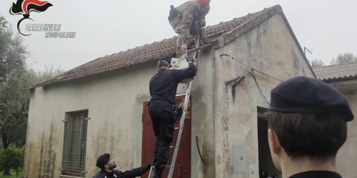 Raffineria di cocaina in un casolare nel Reggino