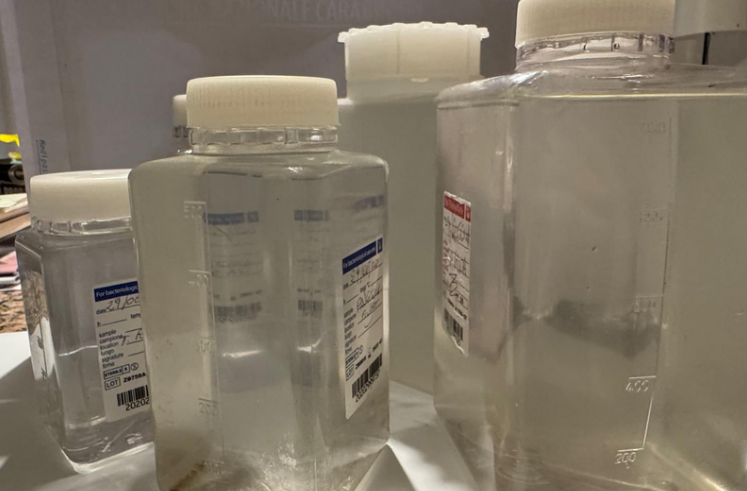 Arpacal: «Ripristinati i campioni ambientali sottratti»