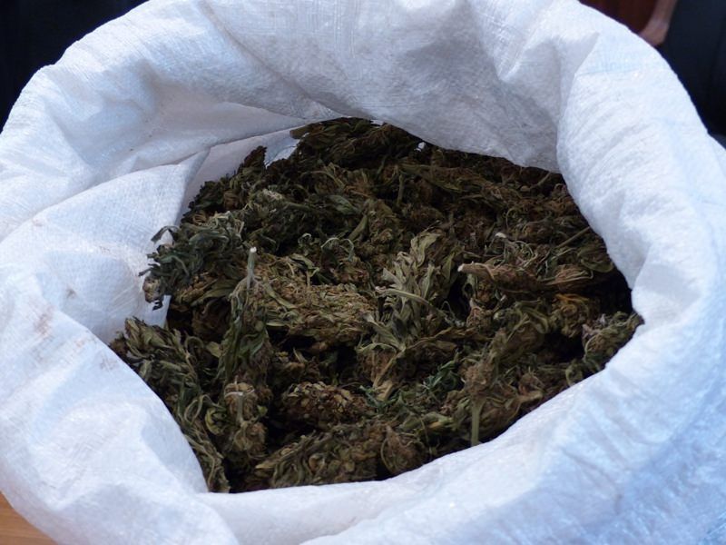 Trovati 2,5 kg di marijuana in un casolare a Nicotera