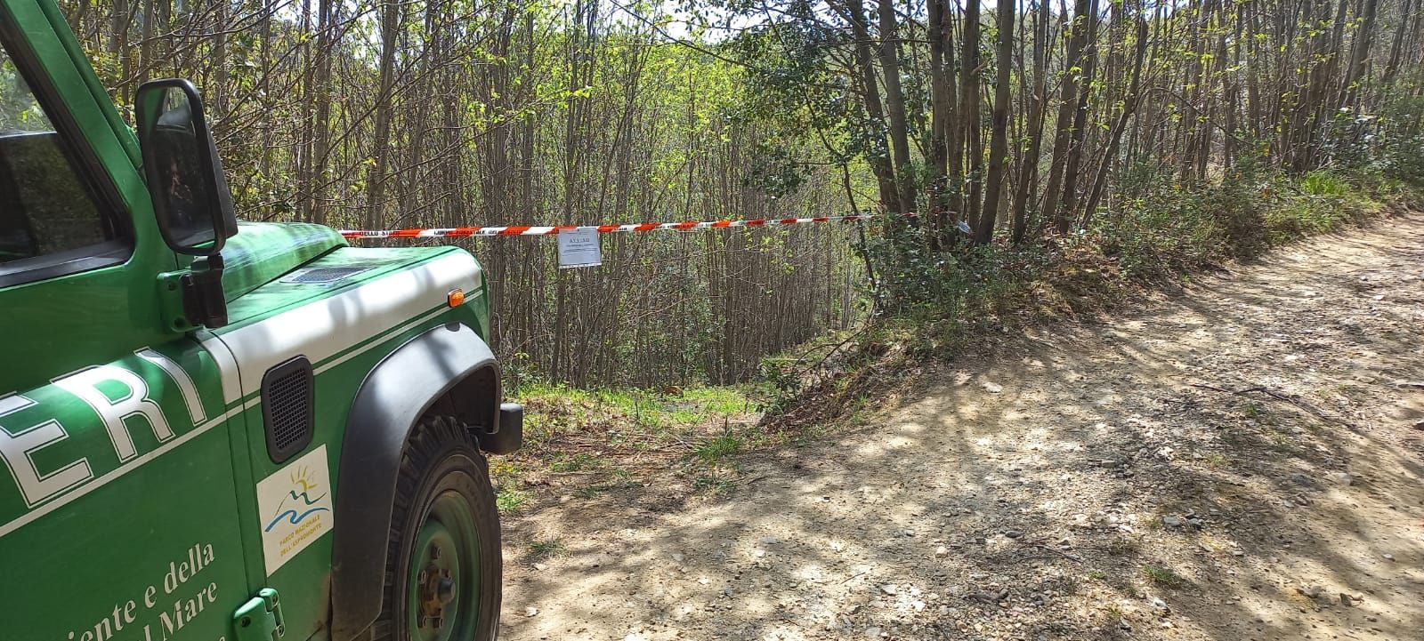 Tagli boschivi irregolari e furto di materiale legnoso nel Parco dell’Aspromonte, deferiti in 8