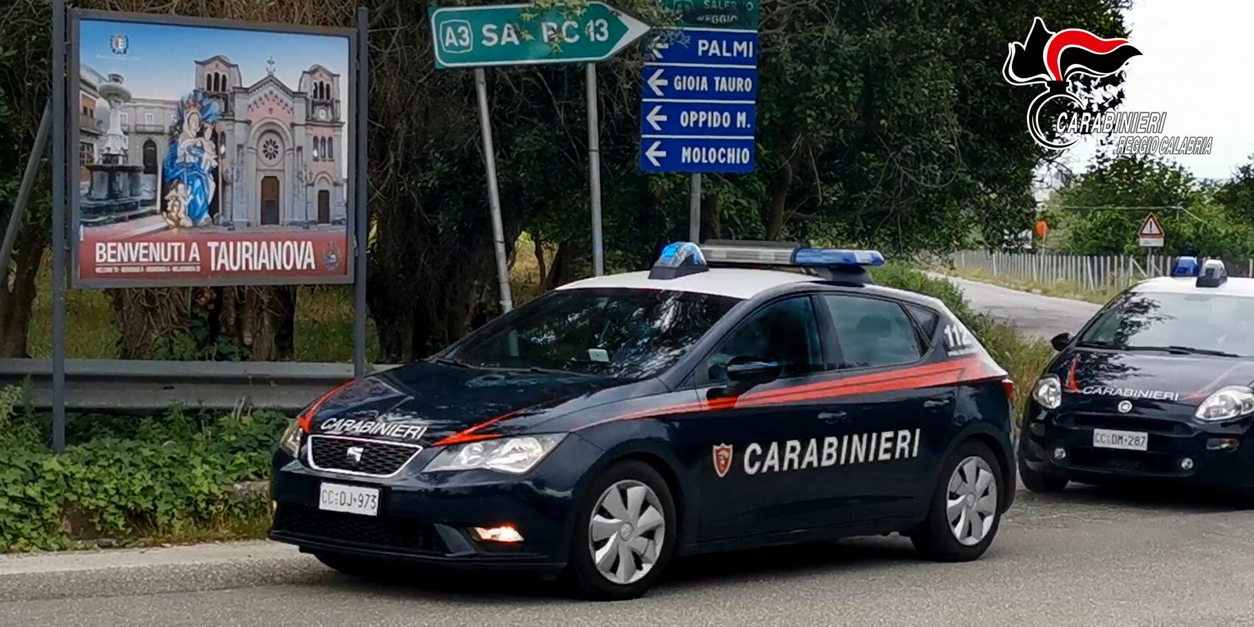 Furti e reati nella Piana, padre e figlio arrestati in Germania