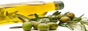 Confagricoltura a Martina: vogliamo il marchio Igp "Olio di Calabria"