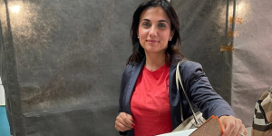 Vibo, ancora nel mirino Laura Pugliese: rubata l’auto della consigliera comunale