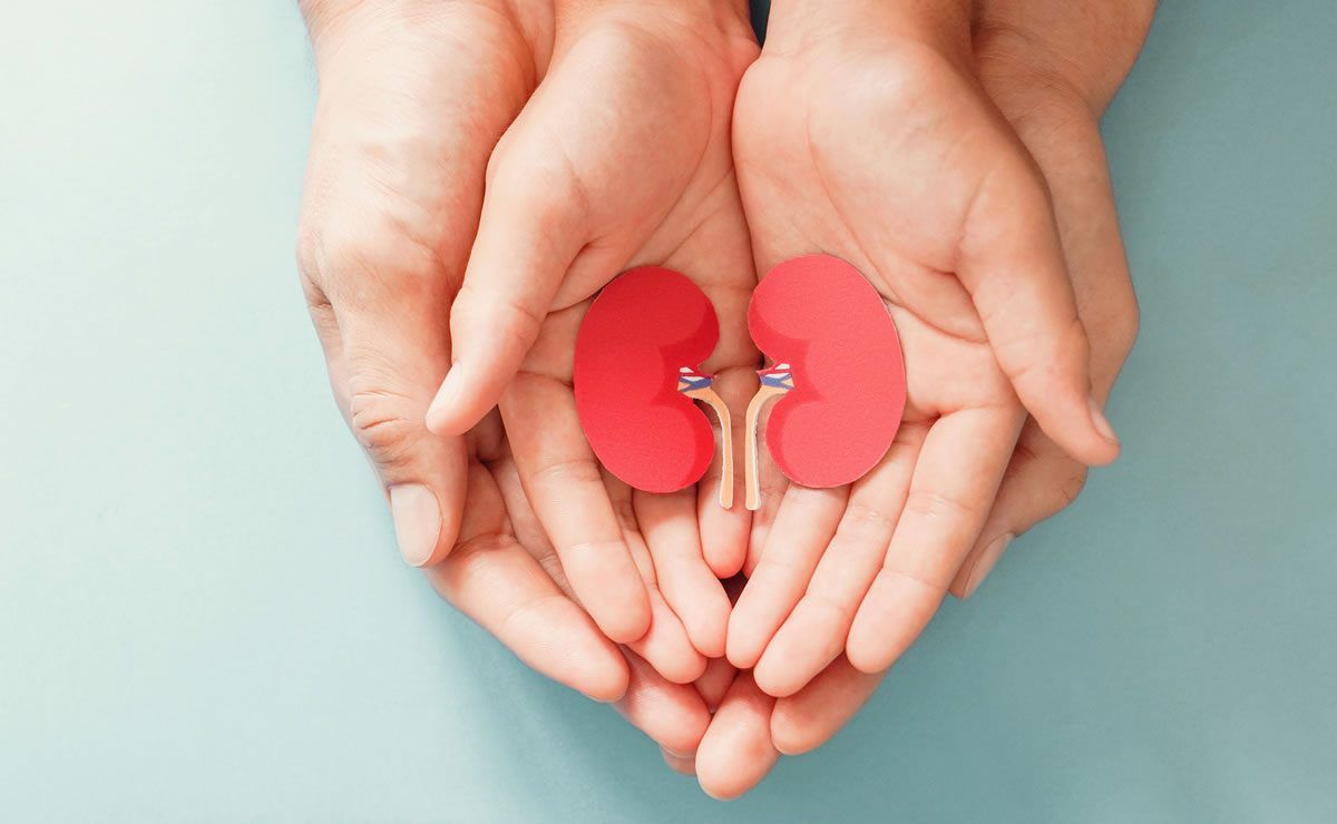 Screening gratuiti, l’Asp di Crotone celebra la Giornata mondiale del Rene