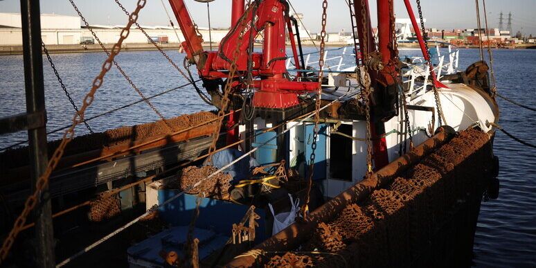 «Basta restrizioni europee che mettono in ginocchio il settore della pesca»