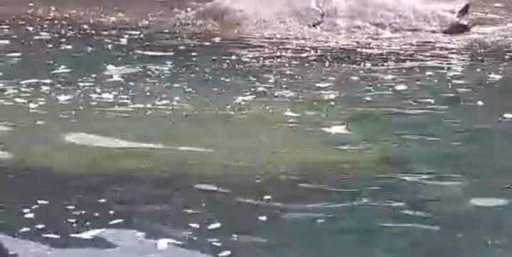 Mare sporco a Palmi, Ranuccio: «Individuati con il drone i responsabili»