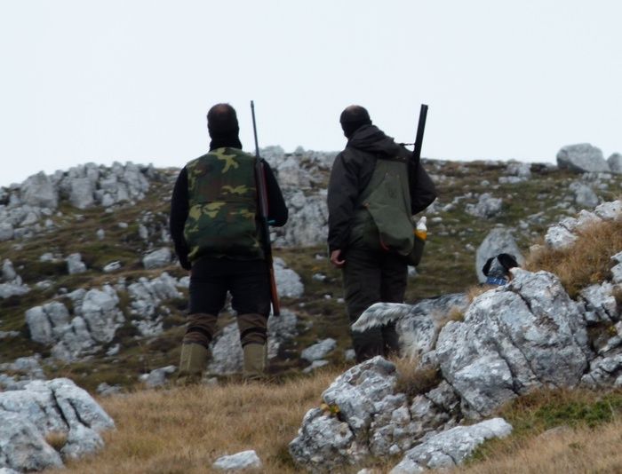 Arrivati dal Nord per cacciare specie protette, 15 denunciati nella Sibaritide