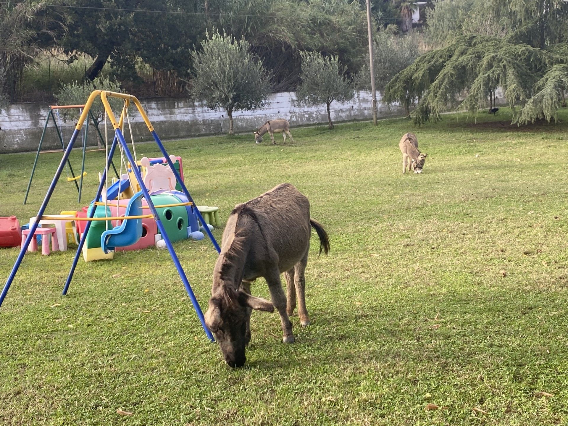 Dalle cliniche psichiatriche all’indipendenza, così si rinasce in comunità coltivando la terra